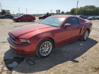  Salvage Ford Mustang