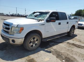  Salvage Ford F-150