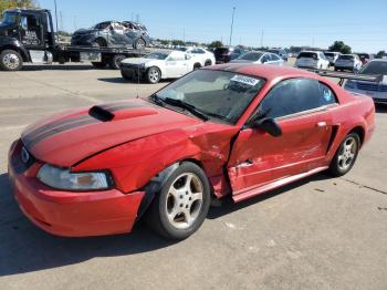  Salvage Ford Mustang