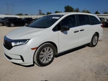  Salvage Honda Odyssey