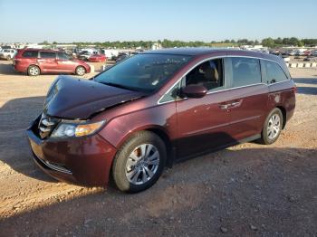  Salvage Honda Odyssey