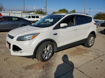  Salvage Ford Escape