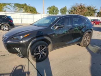  Salvage Lexus NX