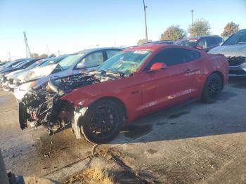  Salvage Ford Mustang