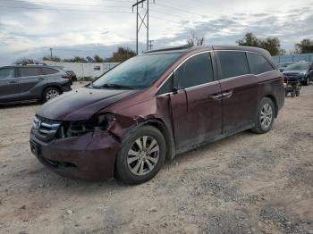  Salvage Honda Odyssey