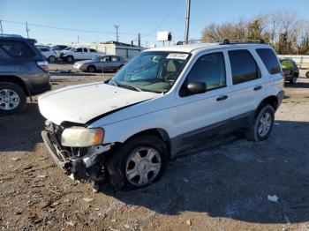  Salvage Ford Escape