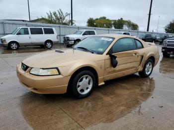  Salvage Ford Mustang