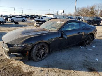  Salvage Ford Mustang