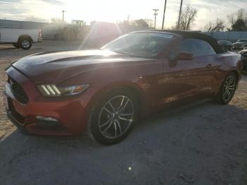  Salvage Ford Mustang