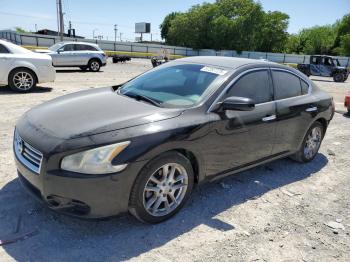  Salvage Nissan Maxima