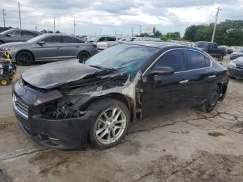  Salvage Nissan Maxima