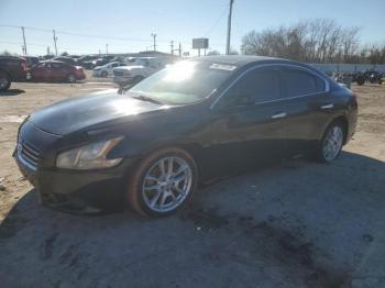  Salvage Nissan Maxima