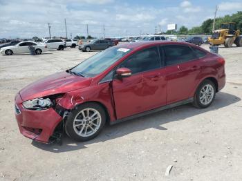  Salvage Ford Focus