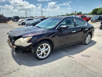  Salvage Nissan Maxima