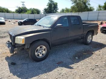  Salvage Dodge Dakota