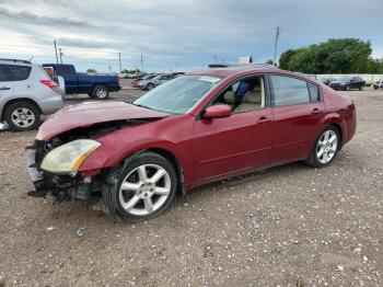  Salvage Nissan Maxima
