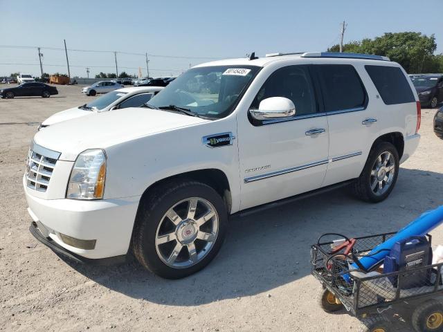  Salvage Cadillac Escalade