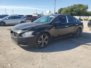  Salvage Nissan Maxima