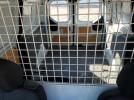 Ford Transit Xl Image 7