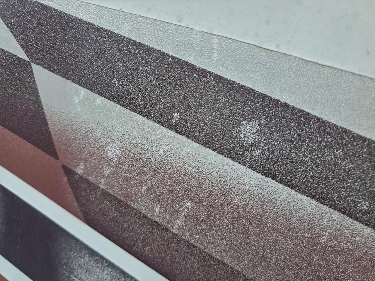 Wildwood Surveyor Image 8