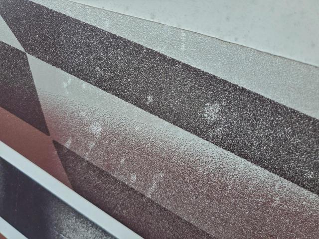 Wildwood Surveyor Image 8