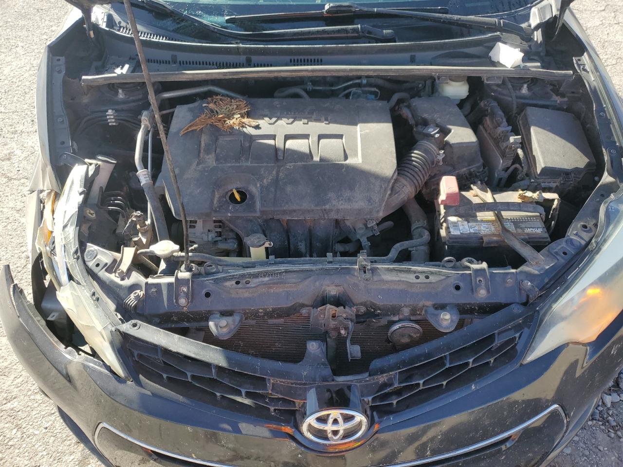 Toyota Corolla L Image 3