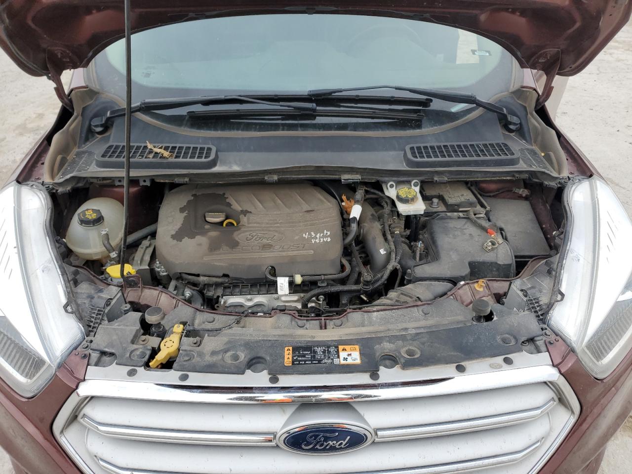 Ford Escape Sel Image 11