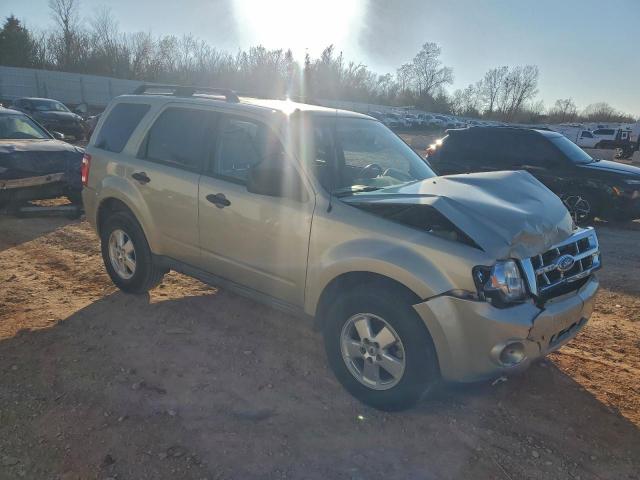 Ford Escape Xlt Image 4