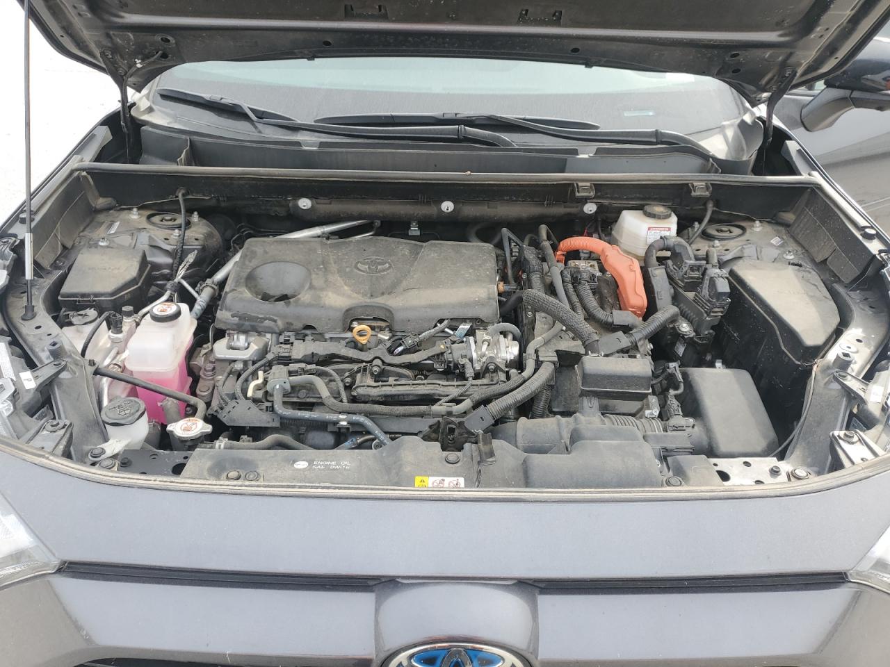 Toyota RAV4 Xse Image 9