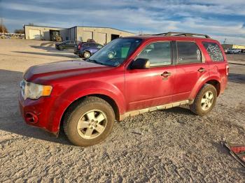  Salvage Ford Escape