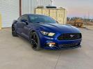 Ford Mustang Image 1