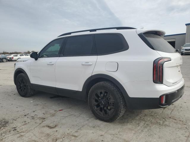 Kia Telluride Sx Image 3