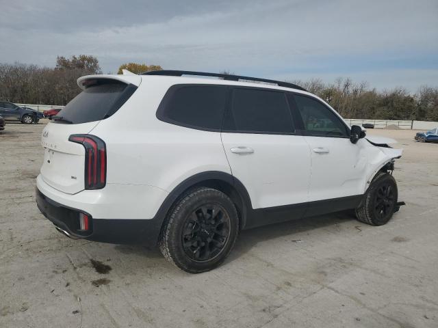 Kia Telluride Sx Image 2