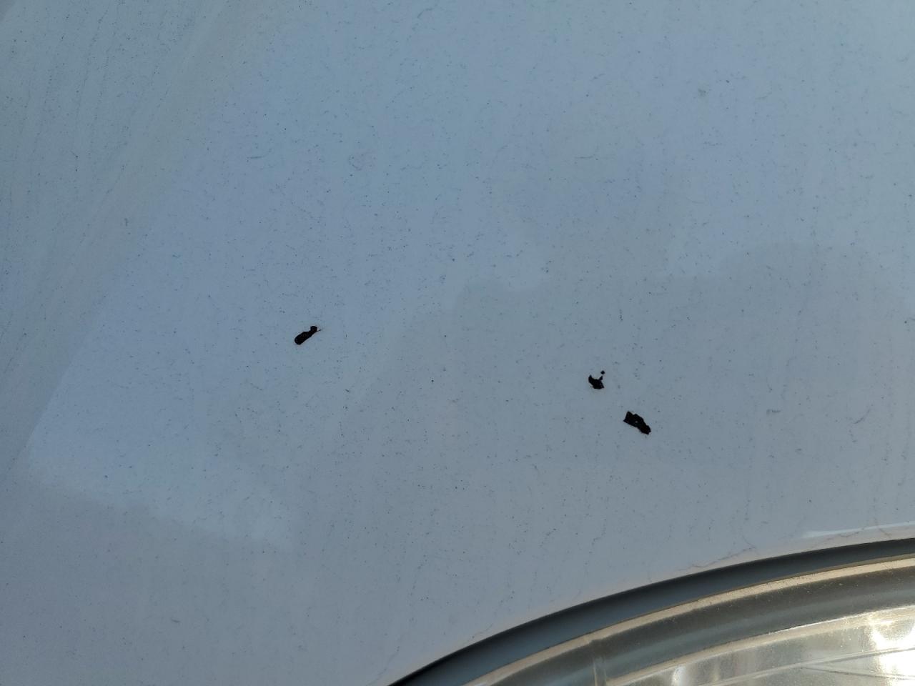 Peterbilt 348 Image 3