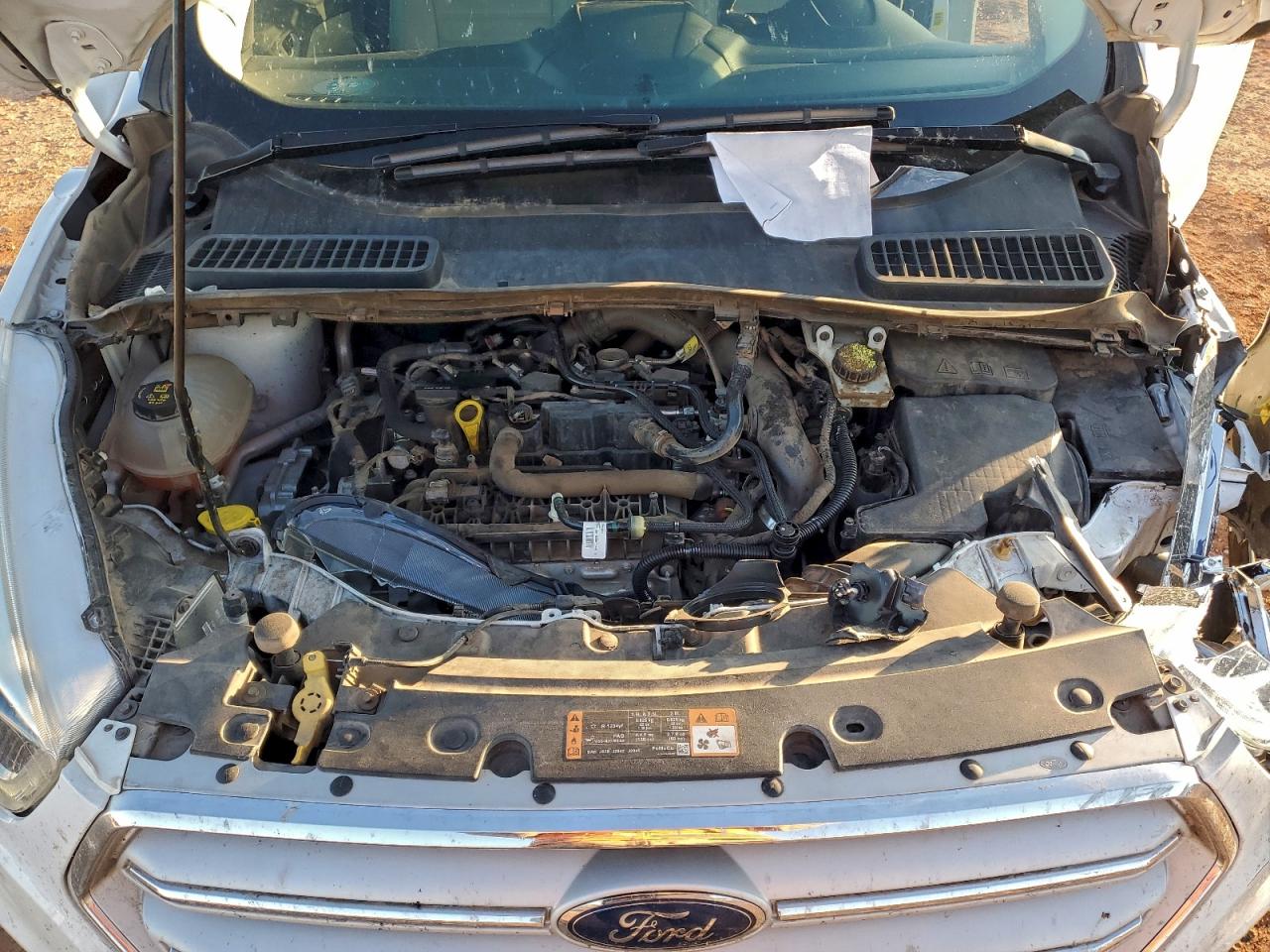 Ford Escape Sel Image 5