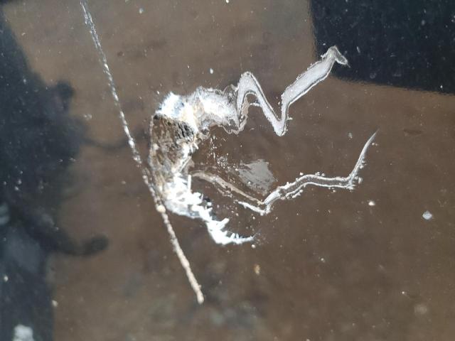 Keystone Outback Image 4