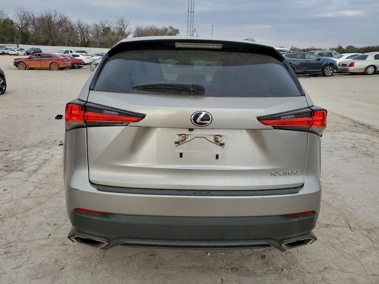 Lexus NX 300 Base Image 3