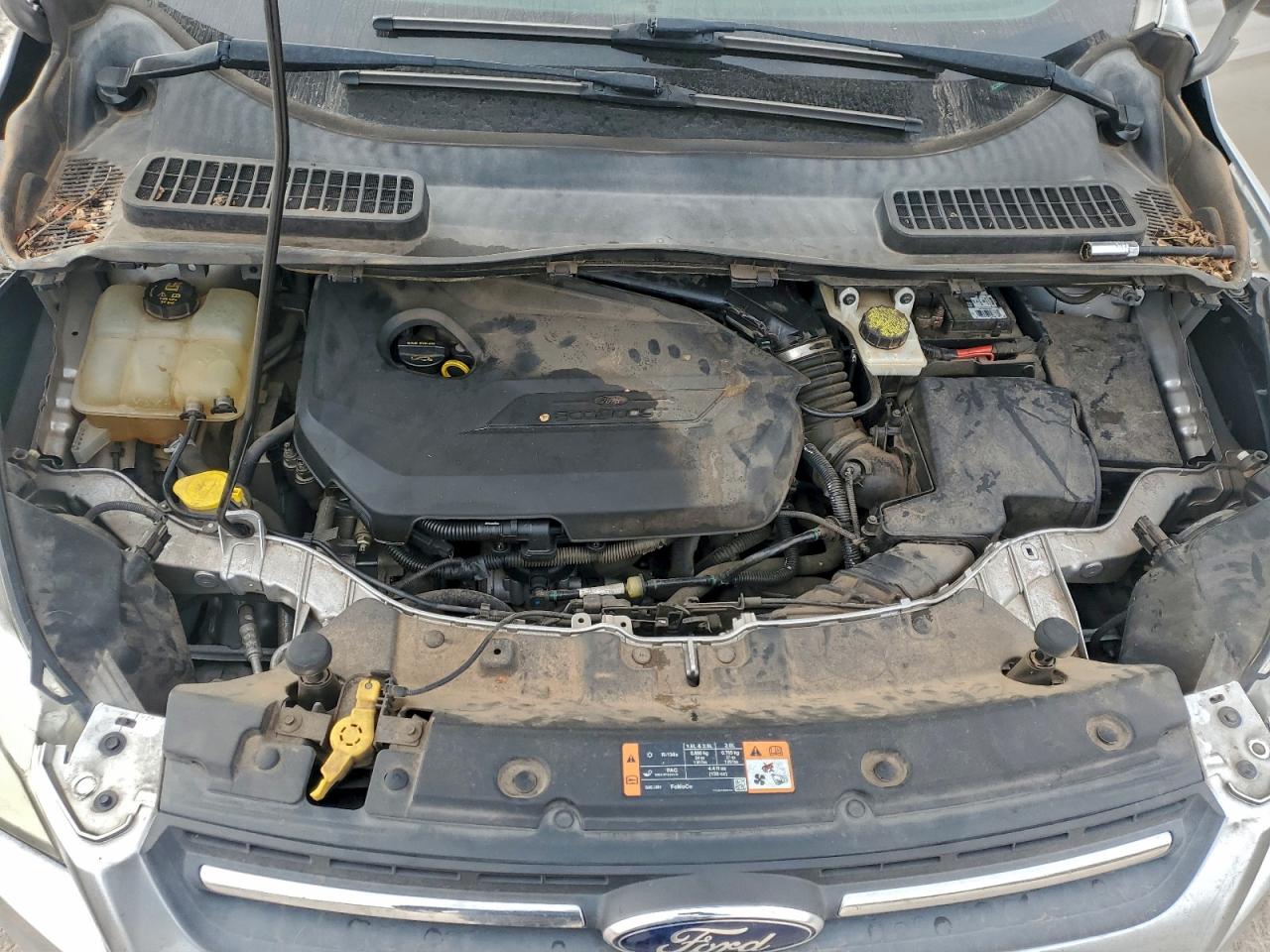 Ford Escape Se Image 11