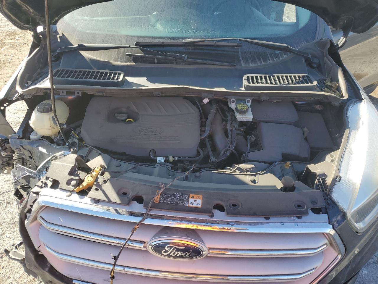 Ford Escape Se Image 11