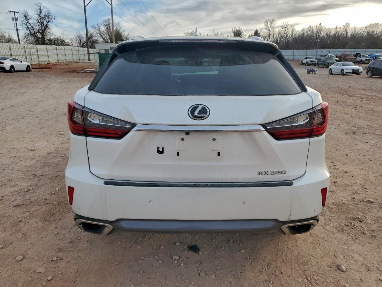 Lexus RX 350 Base Image 13