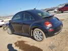 Volkswagen Beetle Image 5