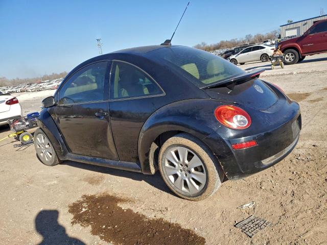 Volkswagen Beetle Image 5