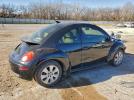 Volkswagen Beetle Image 2