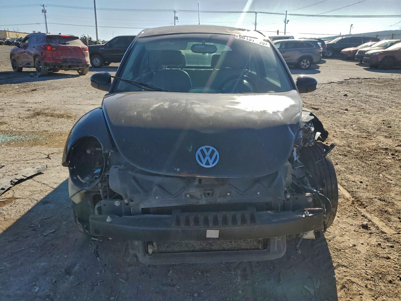 Volkswagen Beetle Image 7