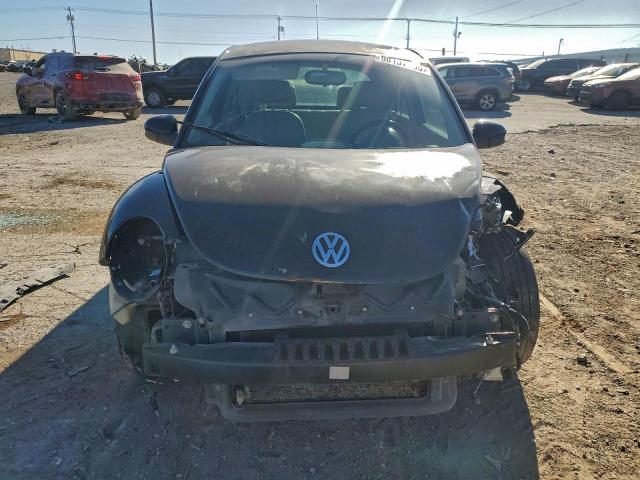 Volkswagen Beetle Image 7