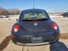 Volkswagen Beetle Image 4
