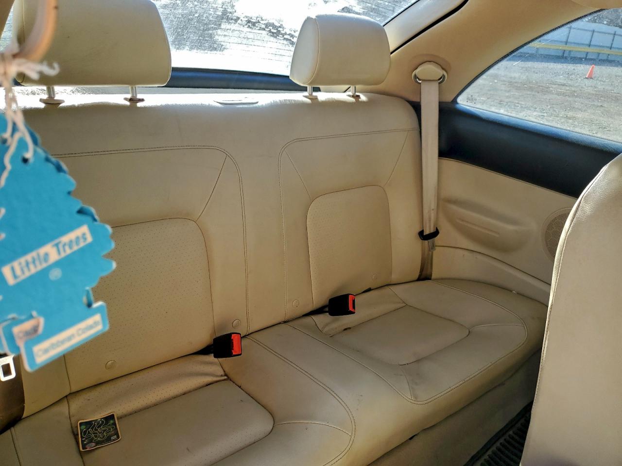 Volkswagen Beetle Image 11