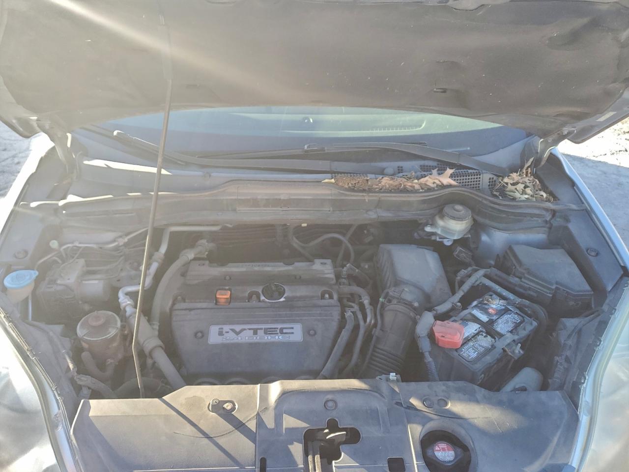 Honda Crv Lx Image 8