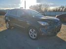 Ford Escape Se Image 7